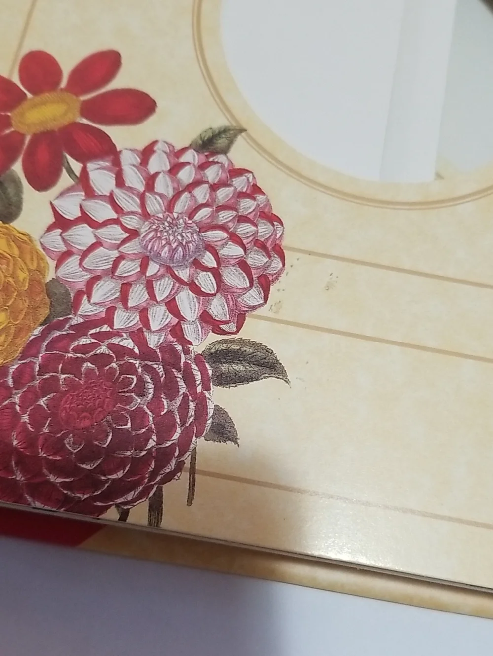Vintage Classic Floral Photograph Album And Frame Set - Picture 8 of 13